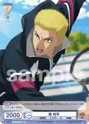 TNPR/01B-010B BR 橘 桔平