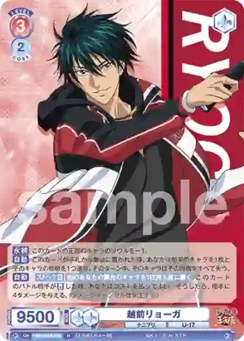 TNPR/01B-028 R 越前リョーガ