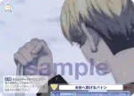 TRVS/01B-020 N 未来へ繋げるバトン