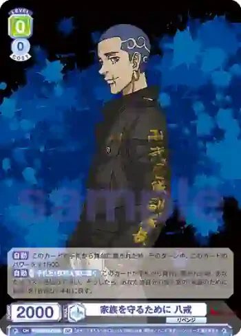 TRVS/01B-030B BR 家族を守るために 八戒