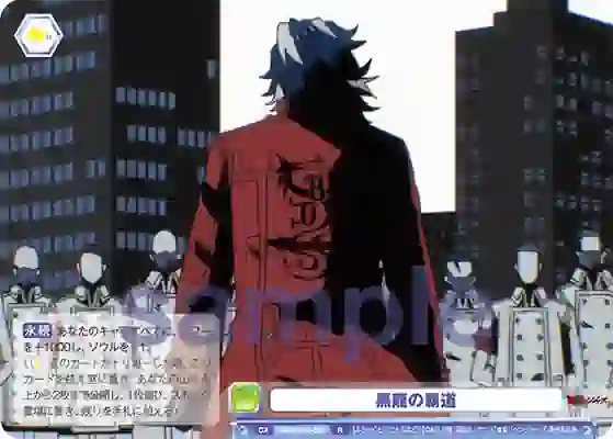 TRVS_01B-039 TRVS/01B-039 R 黒龍の覇道