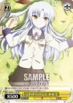 AB/W11-120 PR おてんば娘 ユイ