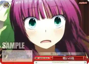 AB/W31-101 CR 戦いの後