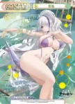 AL/004B-P008PP PP 大鳳