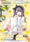 AL/002B-P010PP PP ソビエツカヤ・ベラルーシア