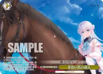 ANM/W138-T09S TDP 茶色い馬の迎え