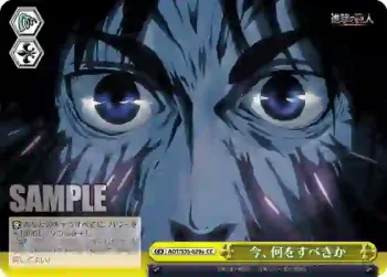 AOT/S35-029a CC 今、何をすべきか