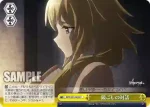 APO/S53-024 CC 鏡ごしの対話