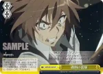 APO/S53-026 RR “聖杯大戦”シロウ