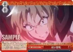 APO/S53-062 CC 願いの衝突
