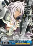 APO/S53-091 C “乙女の貞節”黒のバーサーカー