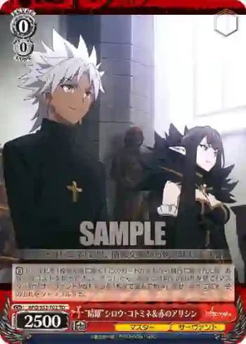 APO/S53-T02 TD “暗躍”シロウ・コトミネ＆赤のアサシン