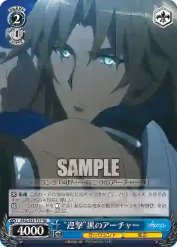APO/S53-T17 TD “迎撃”黒のアーチャー