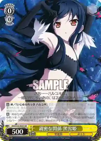 AW/S18-004S SR 親密な関係 黒雪姫