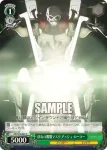AW/S18-047 C 侠気の髑髏マスク アッシュ・ローラー
