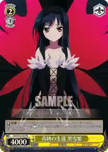 AW/S18-102 TD 奇跡の生還 黒雪姫