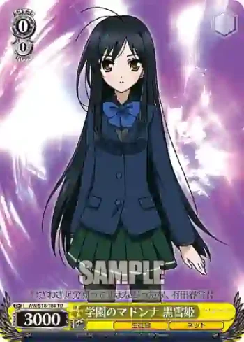 AW/S18-T04 TD 学園のマドンナ 黒雪姫