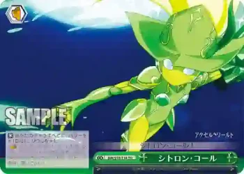 AW/S18-T14 TD シトロン・コール