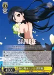 AW/S43-005R RRR 《銀の鴉》シルバー・クロウ