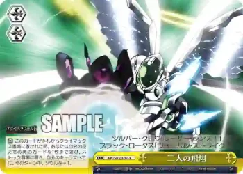 AW/S43-028 CC 二人の飛翔