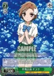 AW/S43-049 U 噂の《治癒師》スキル