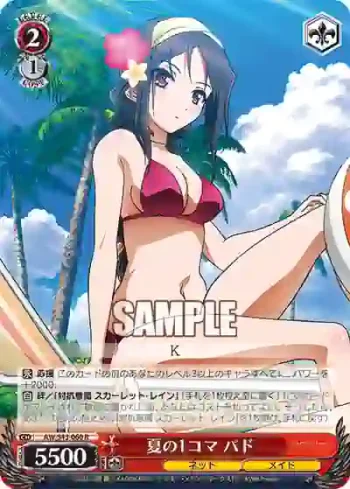 AW/S43-060 R 夏の1コマ パド