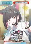 BA/004B-P014PP PP カンナ（水着）