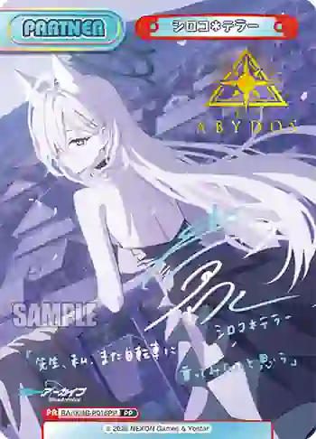 BA/004B-P016PP PP シロコ＊テラー