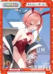 BA/PR-0010S PR ネル（バニーガール）
