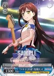 BD/W54-P11 PR “ウサギ20羽”花園たえ