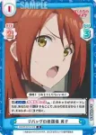 BKRM/001B-028 R デバッグの修羅場 英子