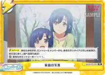 BKRM/PR-0001 PR 家族の写真