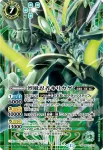 SD31-014 U 千枚手裏剣(P收錄/2025年度版)