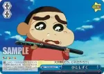 CS/S28-100 CC ひとしずく