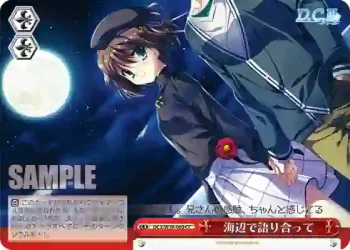 DC3/W18-069 CC 海辺で語り合って