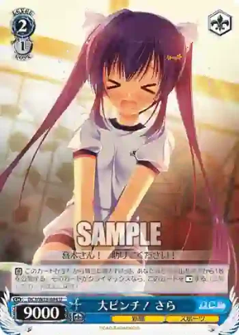 DC3/W18-084 U 大ピンチ！ さら