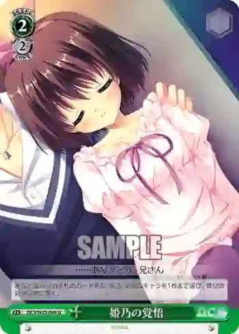 DC3/W23-048 U 姫乃の覚悟