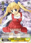 DC/W01-014 C 紫 和泉子