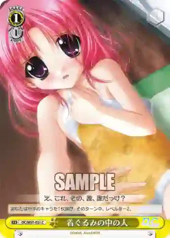 DC/W01-021 C 着ぐるみの中の人