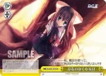 DC/W01-024 CC 魔法使いの見る夢