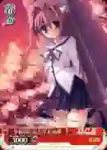 DC/W01-101 PR ディーラーの音姫