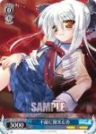 DC/W01-10T U ロボ美春