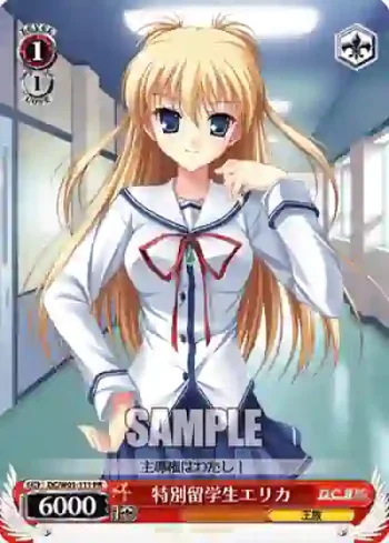 DC/W01-111 PR 特別留学生エリカ