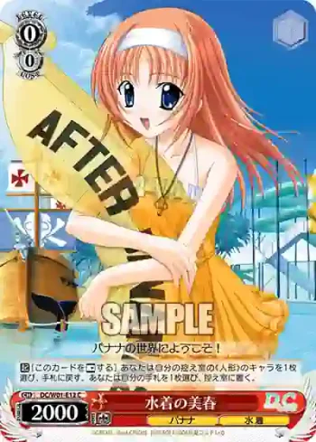 DC/W01-E12 C 水着の美春