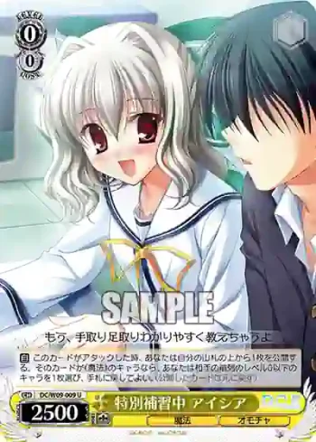DC/W09-009 U 特別補習中 アイシア