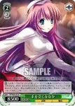 DC/W09-032S SR 手を引くななか