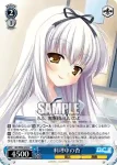 DC/W09-092 C 料理中の杏