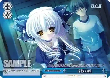 DC/W09-097 CR 家族の顔