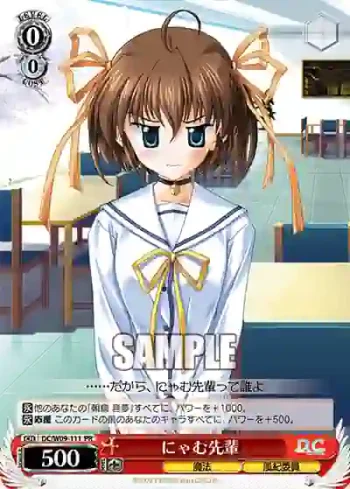 DC/W09-111 PR にゃむ先輩