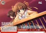 DC/W09-T14 TD たった1つの願い